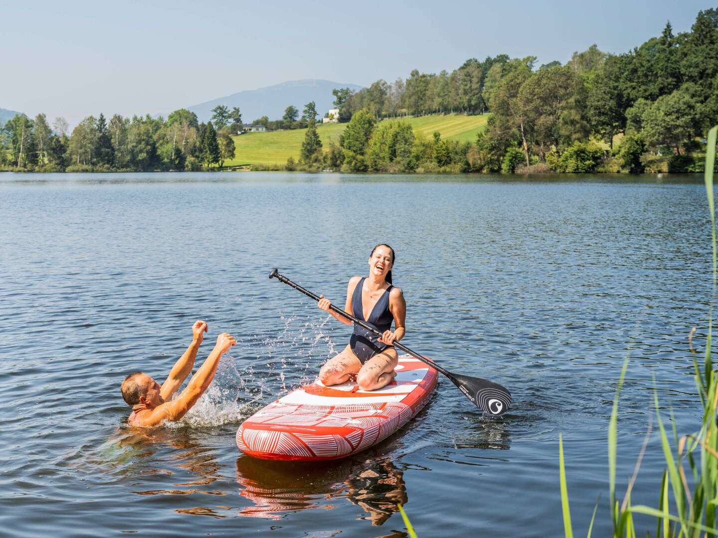 Kurzurlaub mit Ihrem Vierbeiner am Maltschacher See | 2 Nächte