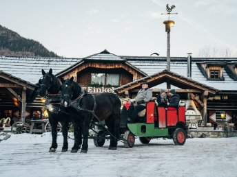 Weihnachten am GUTShof  | 3 Nächte