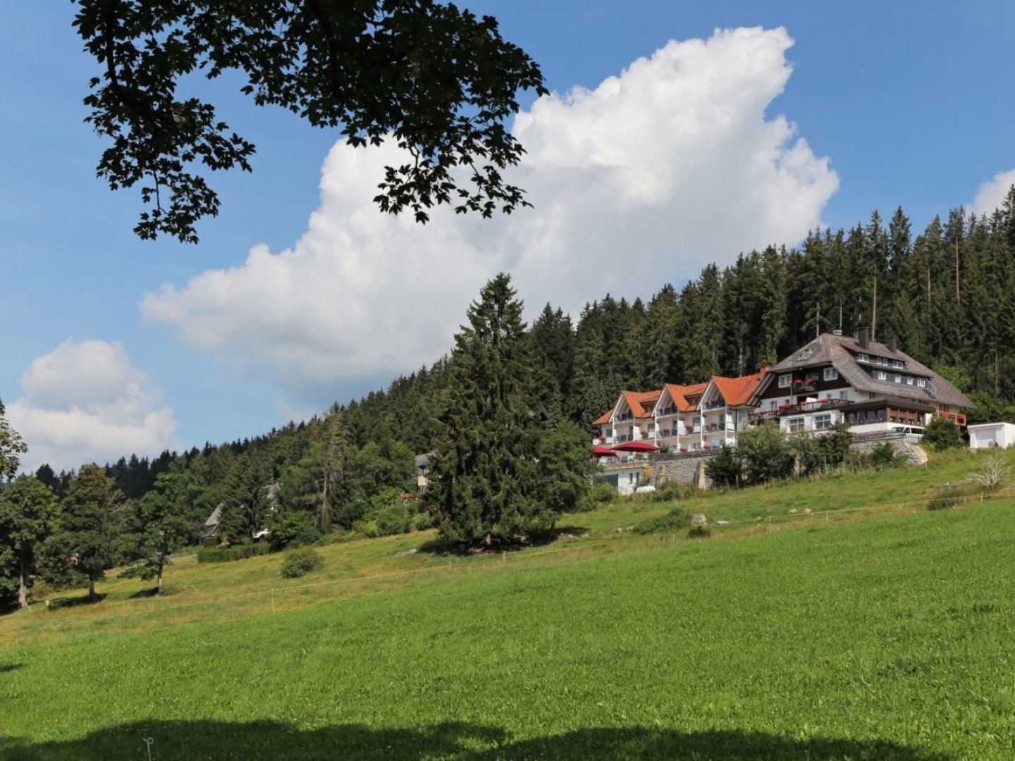 Ihre Auszeit im Schwarzwald: Entspannen Sie im JUFA Hotel mit Eintritt ins Palais Vital I 4 Nächte 