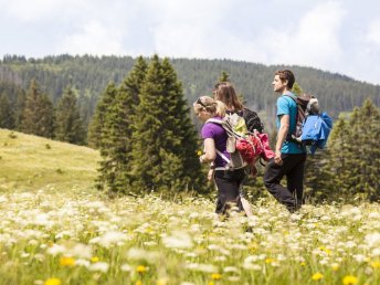 Ihre Auszeit im Schwarzwald: Entspannen Sie im JUFA Hotel mit Eintritt ins Palais Vital I 4 Nächte 