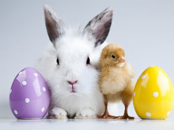 Ostern im Weserbergland