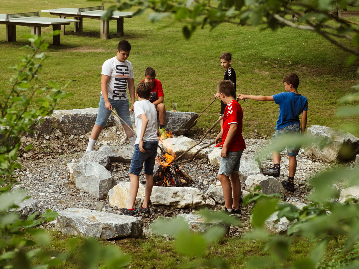 Abenteuer & Naturgenuss für Zwei- und Vierbeiner in der Lipizzanerheimat | 3 Nächte