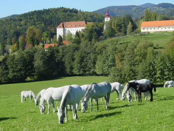 Familienurlaub in der Lipizzanerheimat | 7 Nächte in der Weststeiermark  