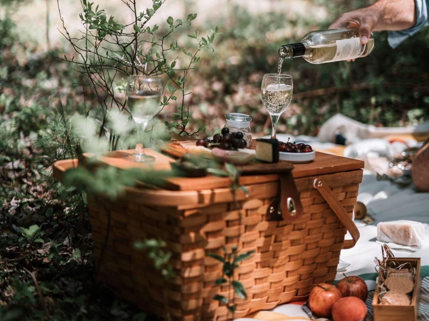 3 Tage Picknick Tour durch die fränkische Schweiz 