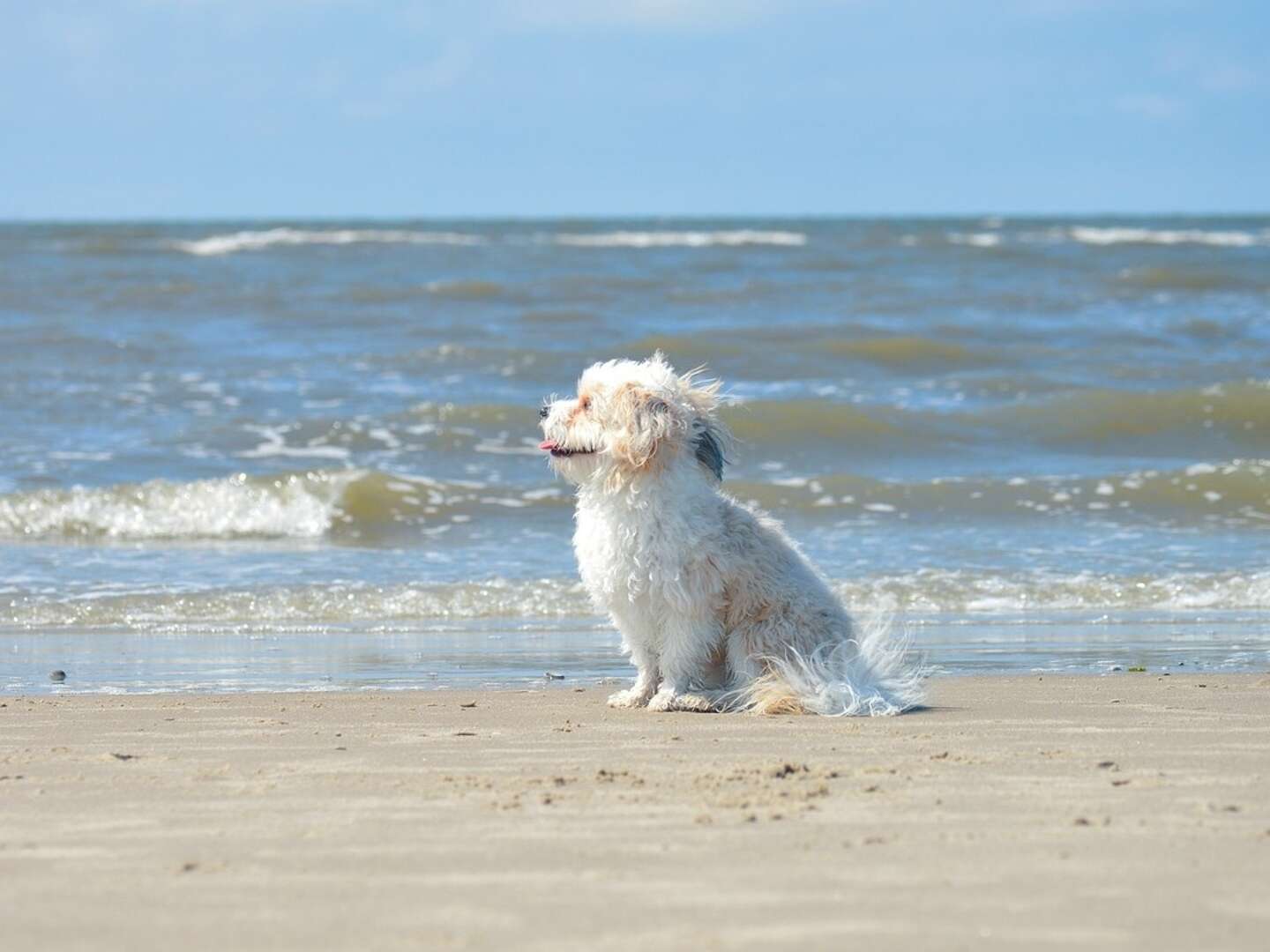 Strand & Meer - Erholung in St. Peter-Ording