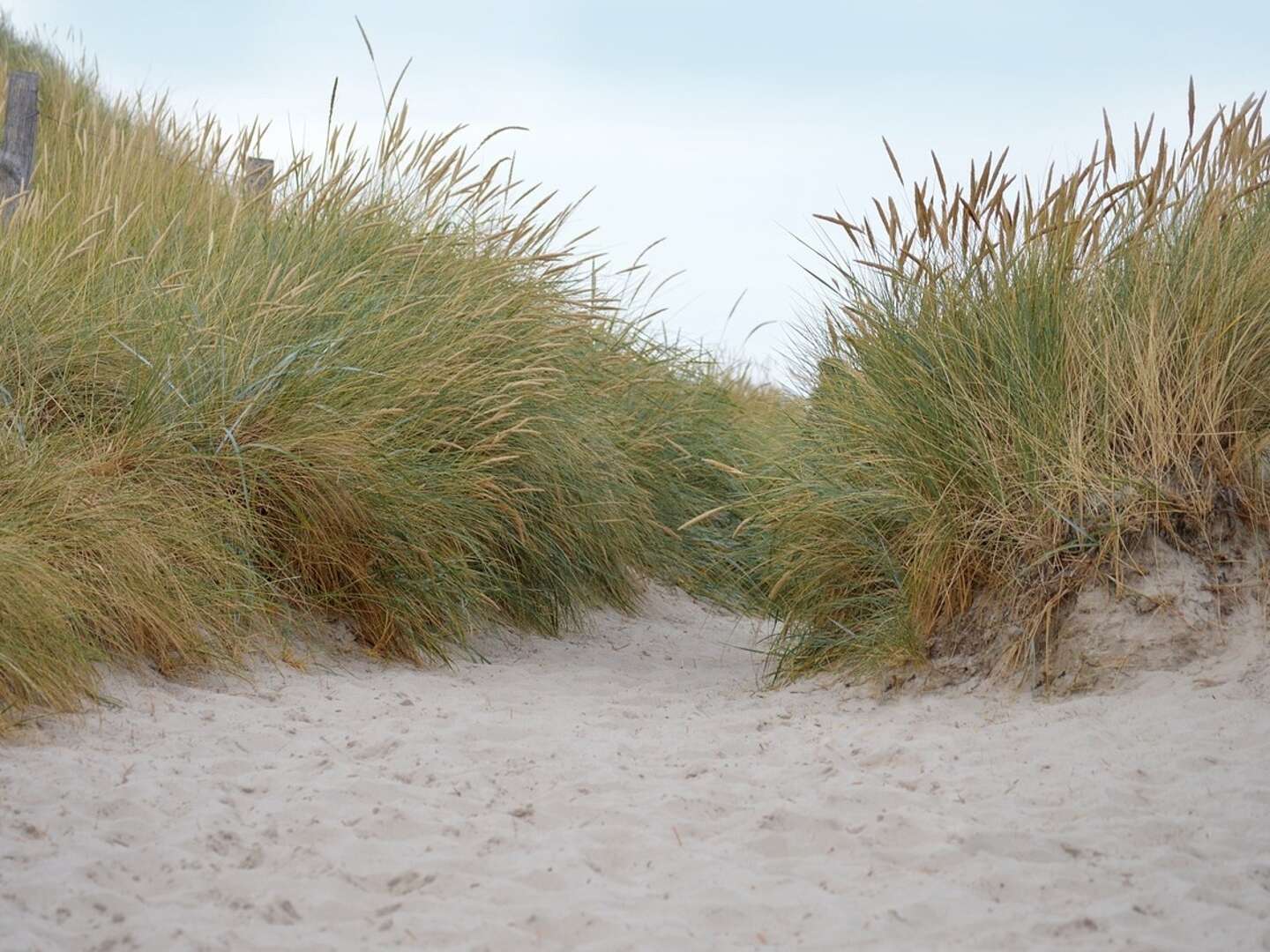 Strand & Meer - Erholung in St. Peter-Ording