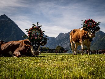 Auszeit am Achensee in Tirol | 7 Nächte