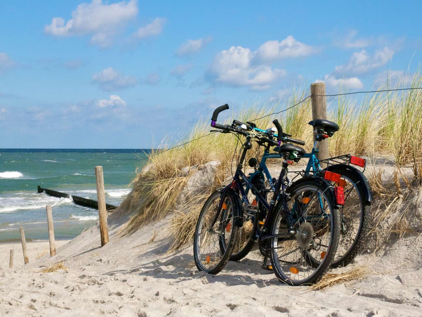 8 Tage Wohlfühlzeit an der Nordsee direkt am Elberadweg       