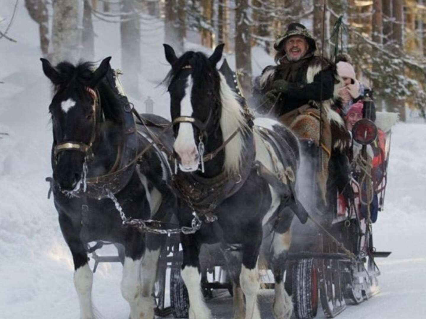 Kulinarikurlaub in Filzmoos inkl. Weinverkostung & Genusswanderung | 6 Nächte