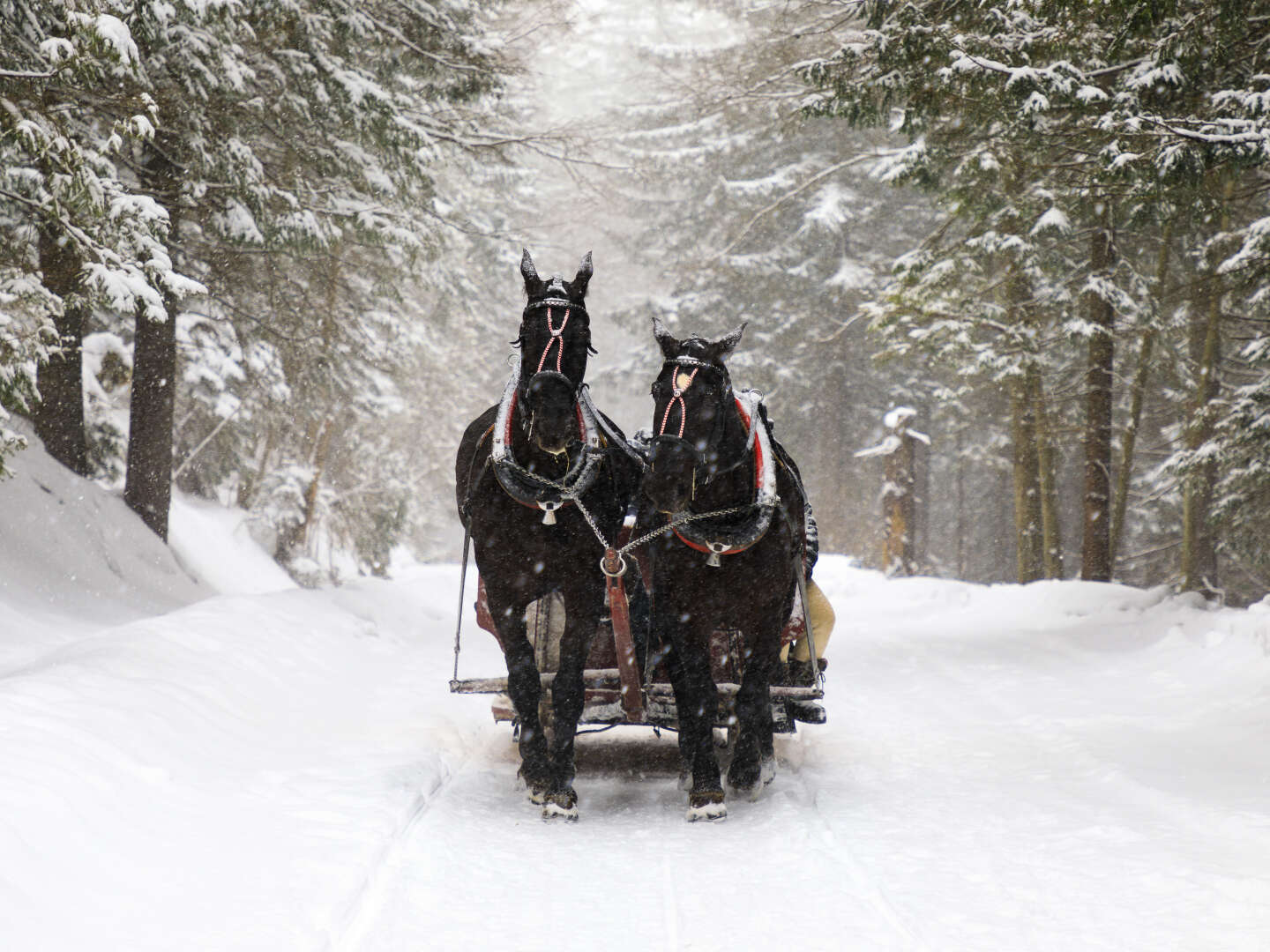 Winterurlaub - Adventgenuss mit romantischer Pferdekutschfahrt | 3 Nächte