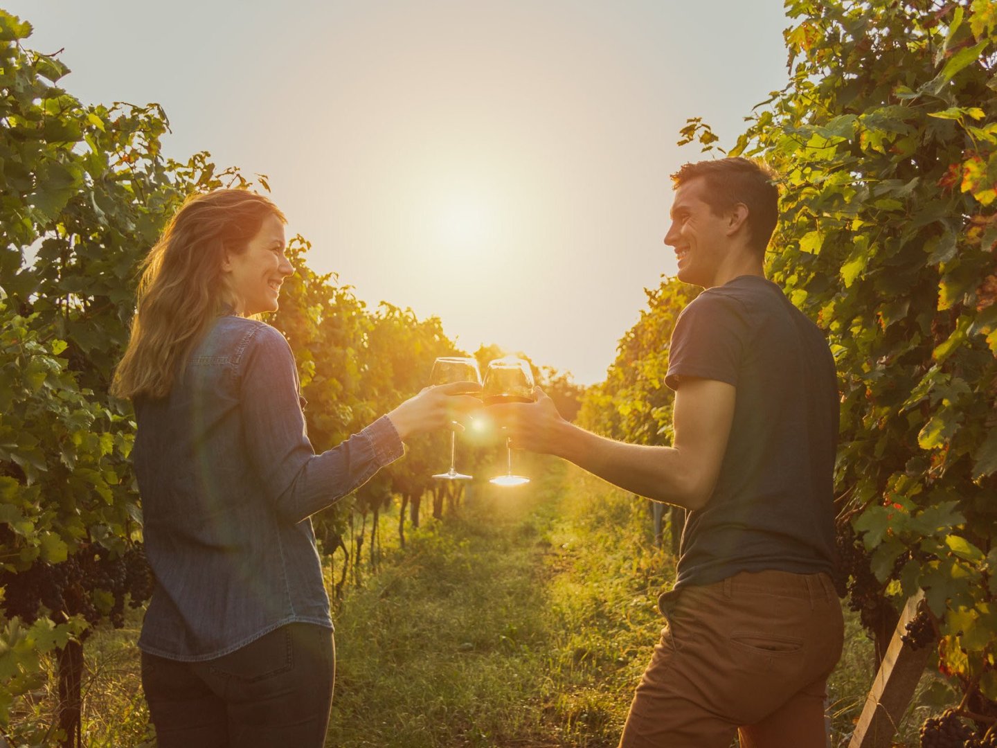 wandern am Weinberg - Südburgenland