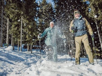 Winterwander Urlaub in der Region Schladming Dachstein inkl. Winterwander Ticket | 7 Nächte