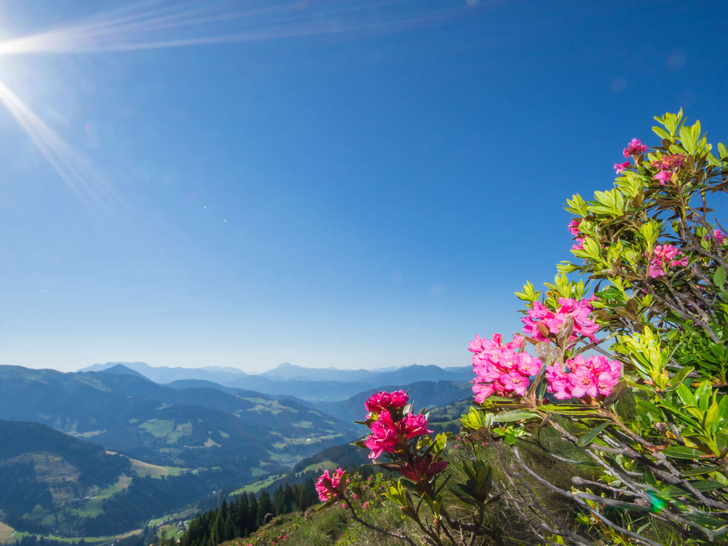 1 Woche Skifahren im Monat März 