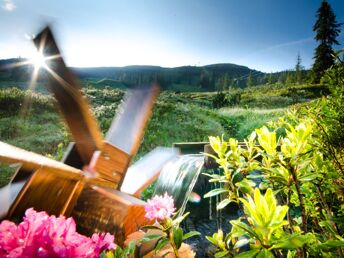 Entspannung & Natur in der Steiermark mit Eintritt für Therme | 2 Nächte