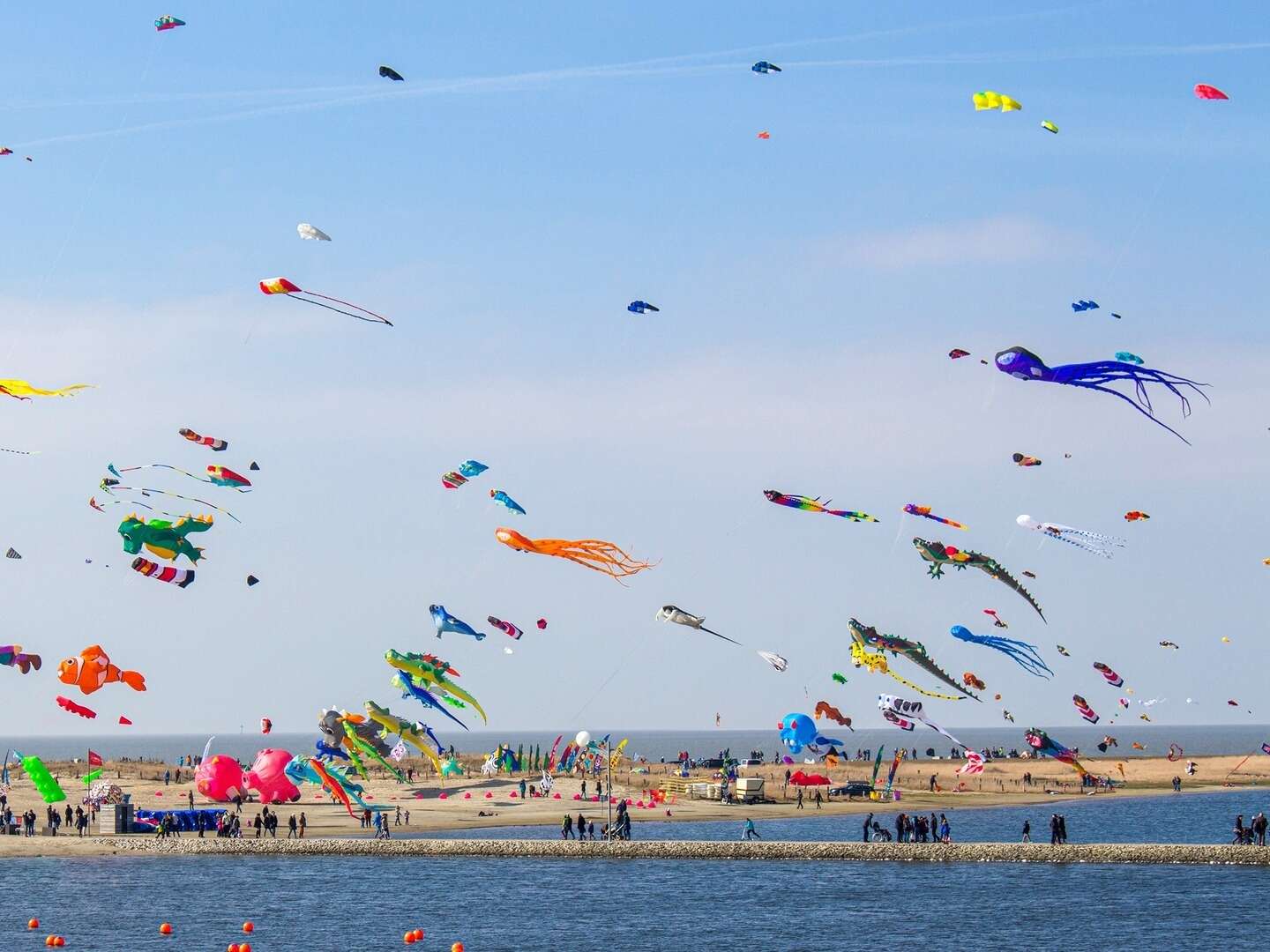 Dein erholsamer Aufenthalt am Meer, in einer Suite