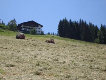 Wanderurlaub in Schladming inkl. tägl. Nutzung der Bergbahnen | 5 Nächte