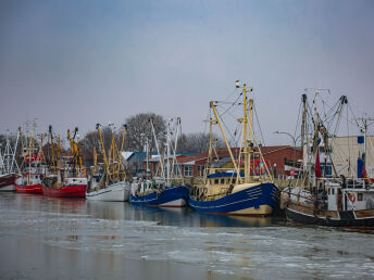 Kurzentschlossen an die Nordseeküste