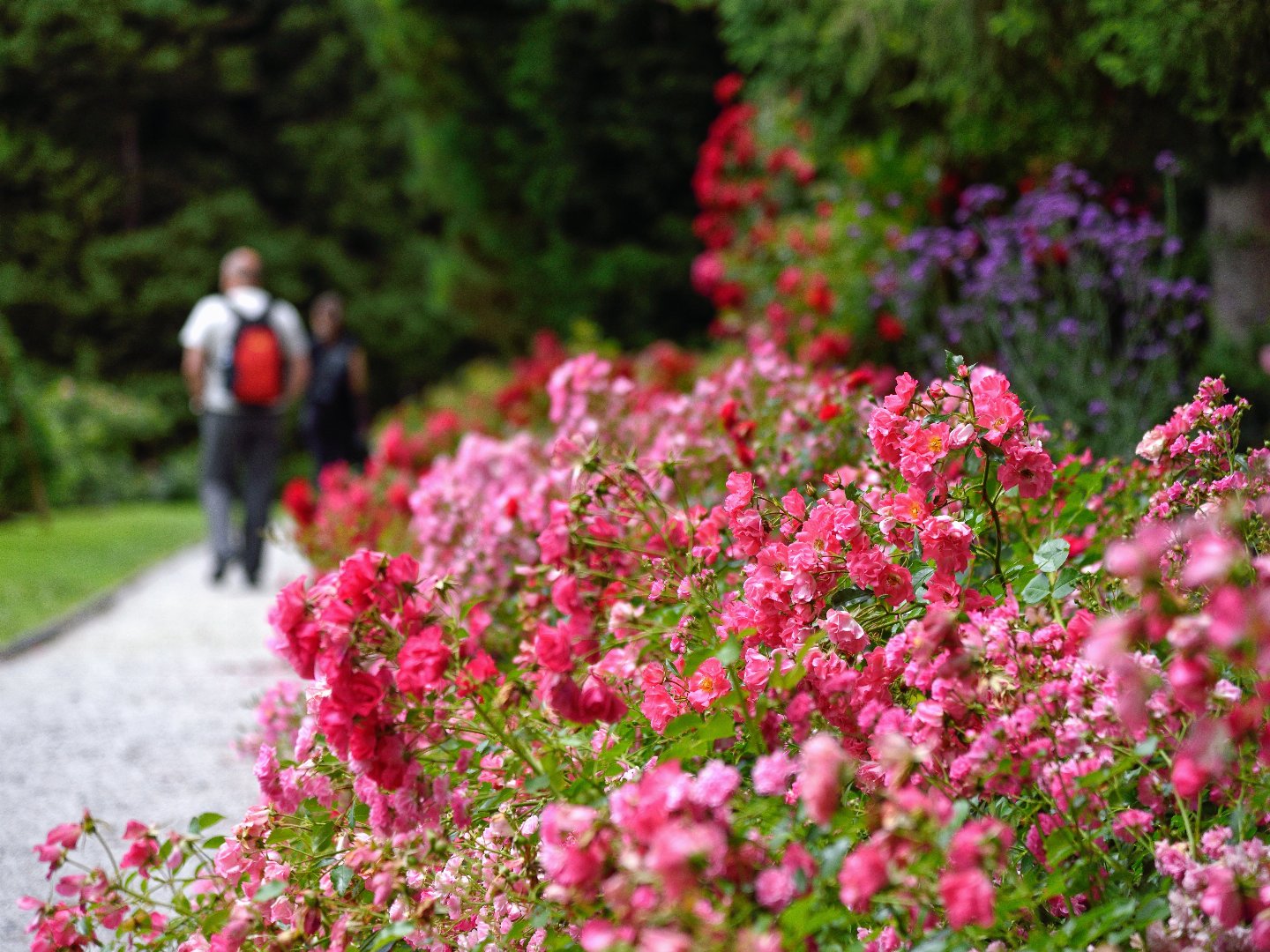 Blütenzauber & Thermalglück: Wellness in Slowenien inkl. Arboretum | 2 Nächte