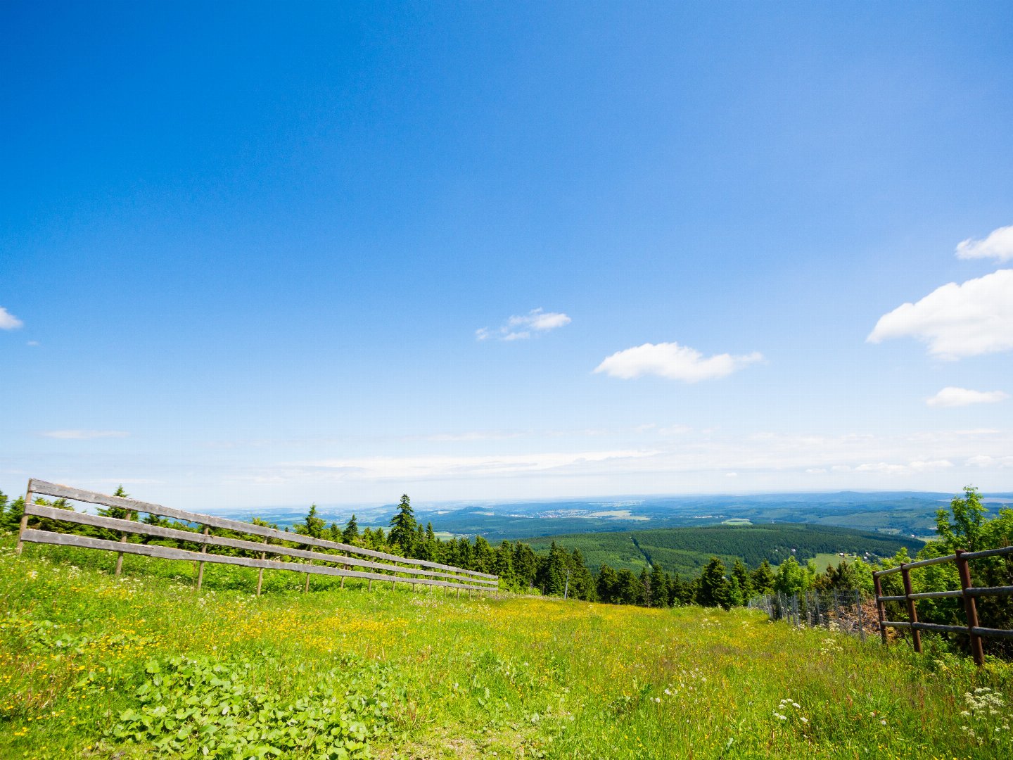 Bergluft & Genusswandern- 3 Tage in Altenberg inkl. Halbpension