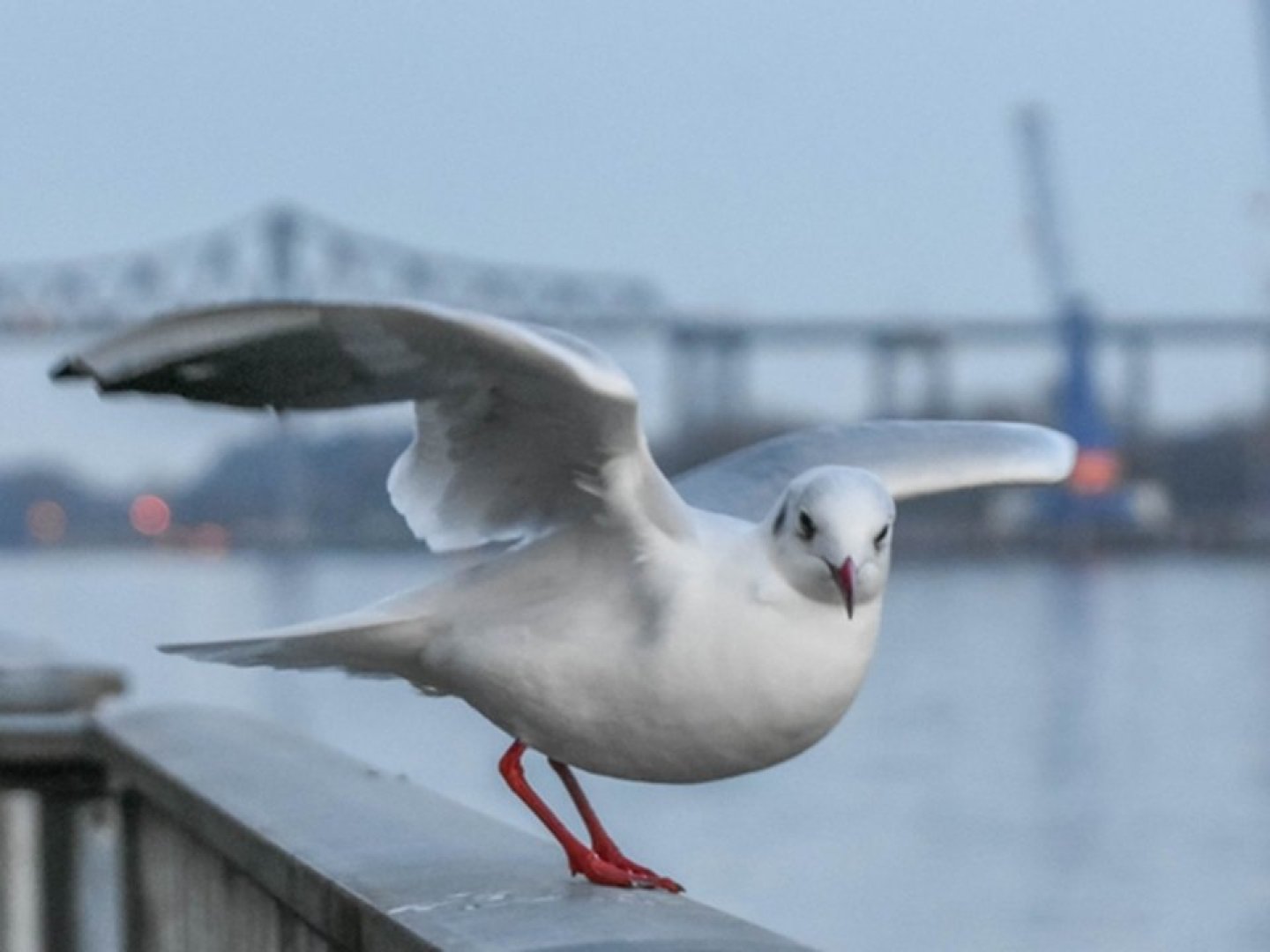 2 Tage Kurztrip nahe Rendsburg inkl. Abendessen