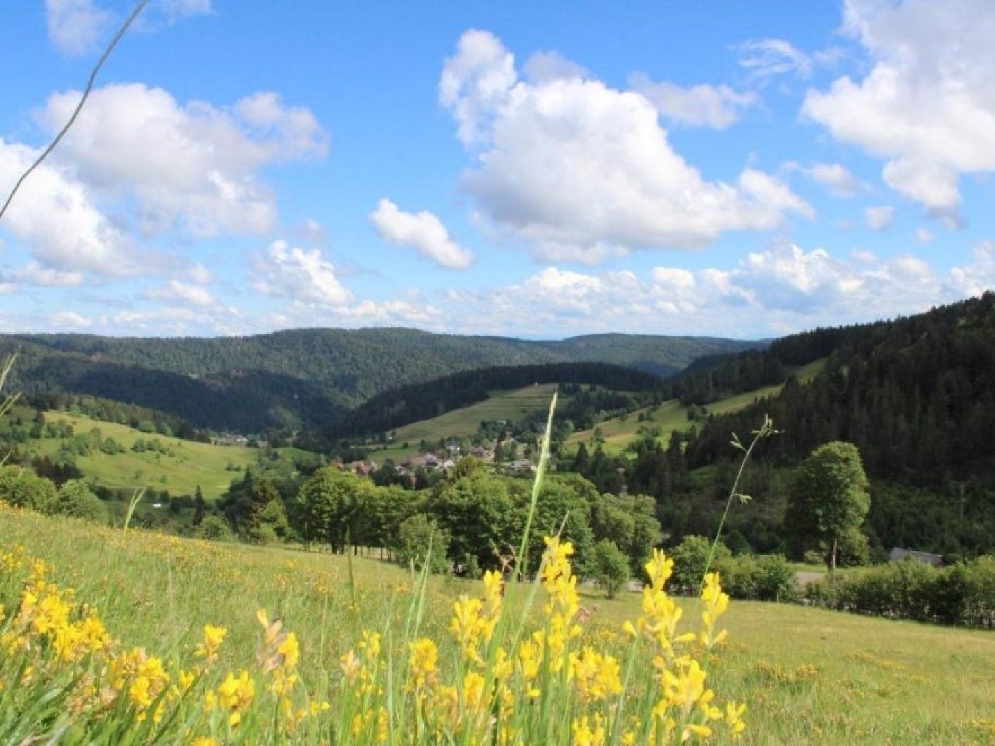 Genuss & Erholung im Schwarzwald 4 Tage