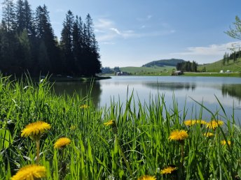 Erholung pur: Urlaub im steirischen Almenland inkl. Frühstück | 1 Nacht