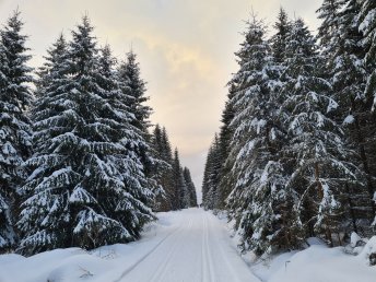 Feiertagsurlaub im Vogtland- 4 Tage inkl. HP plus