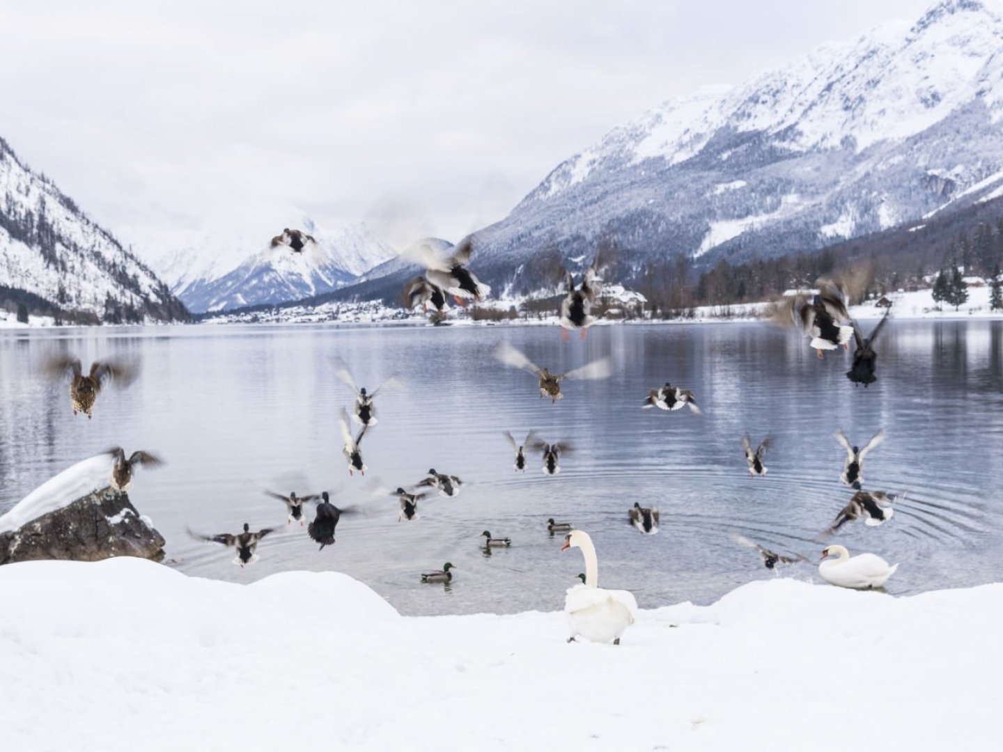 Schneespaß am Grundlsee inkl. Skipass I 7 Nächte 