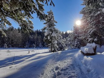 Schneespaß am Grundlsee inkl. Skipass I 7 Nächte 