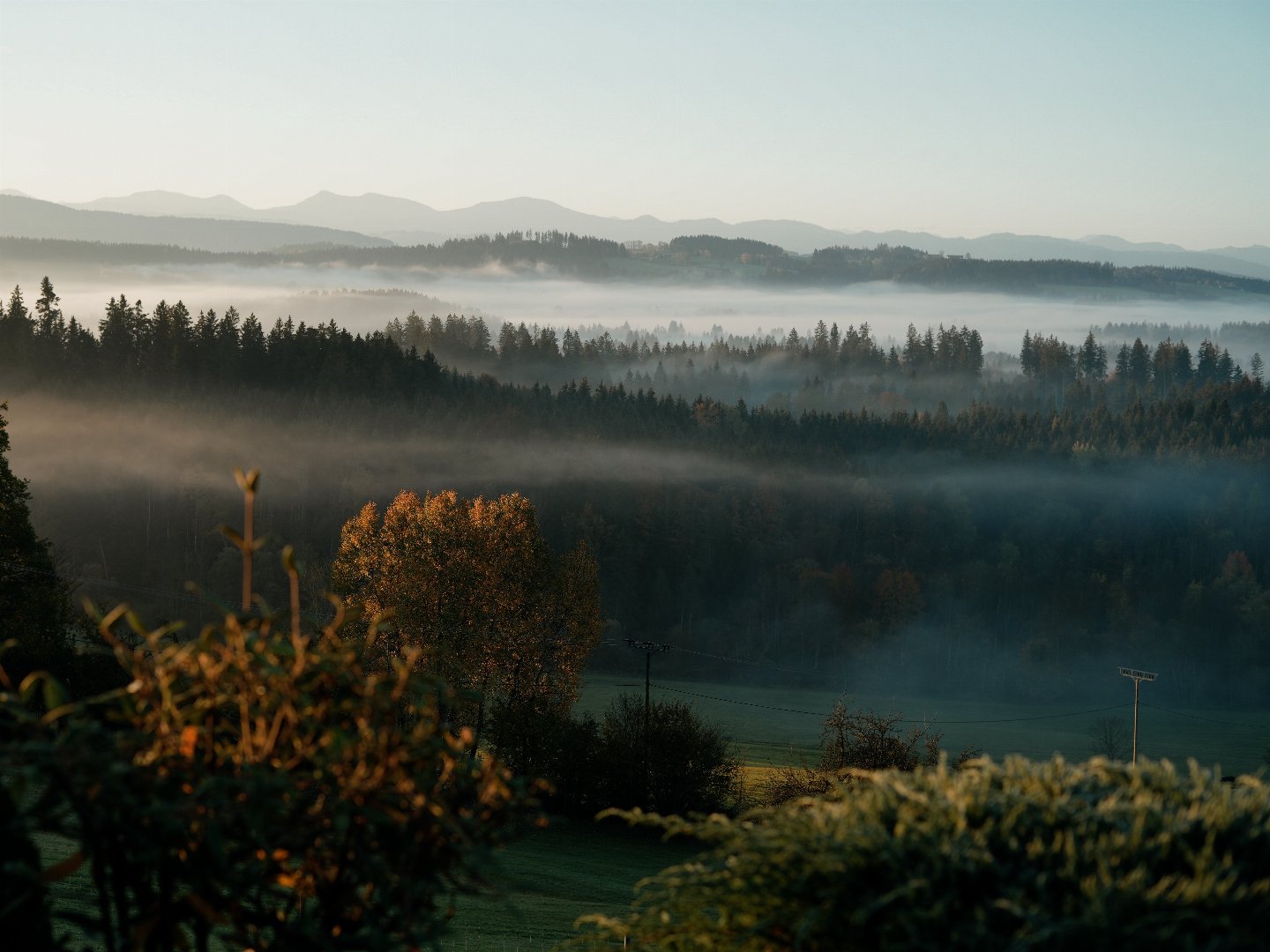 Kulinarische Reise ins Allgäu mit Wellness