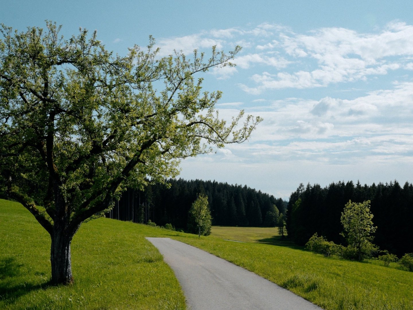 Kulinarische Reise ins Allgäu mit Wellness