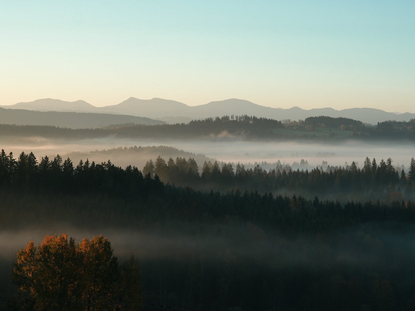 Kulinarische Reise ins Allgäu mit Wellness