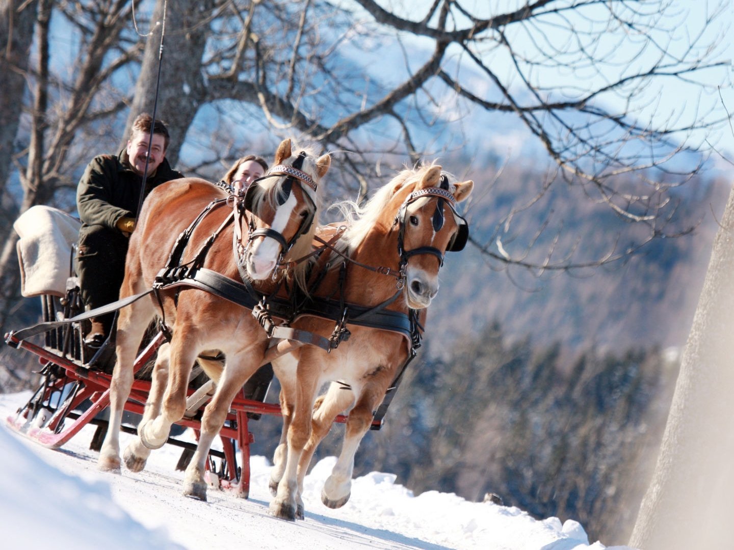 Rückzug in die Berge – Ruhe, Natur & Erholung I 2 Nächte Mariazellerland