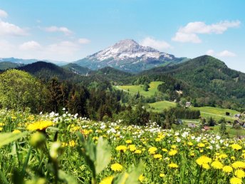 Rückzug in die Berge – Ruhe, Natur & Erholung I 7 Nächte Mariazellerland 