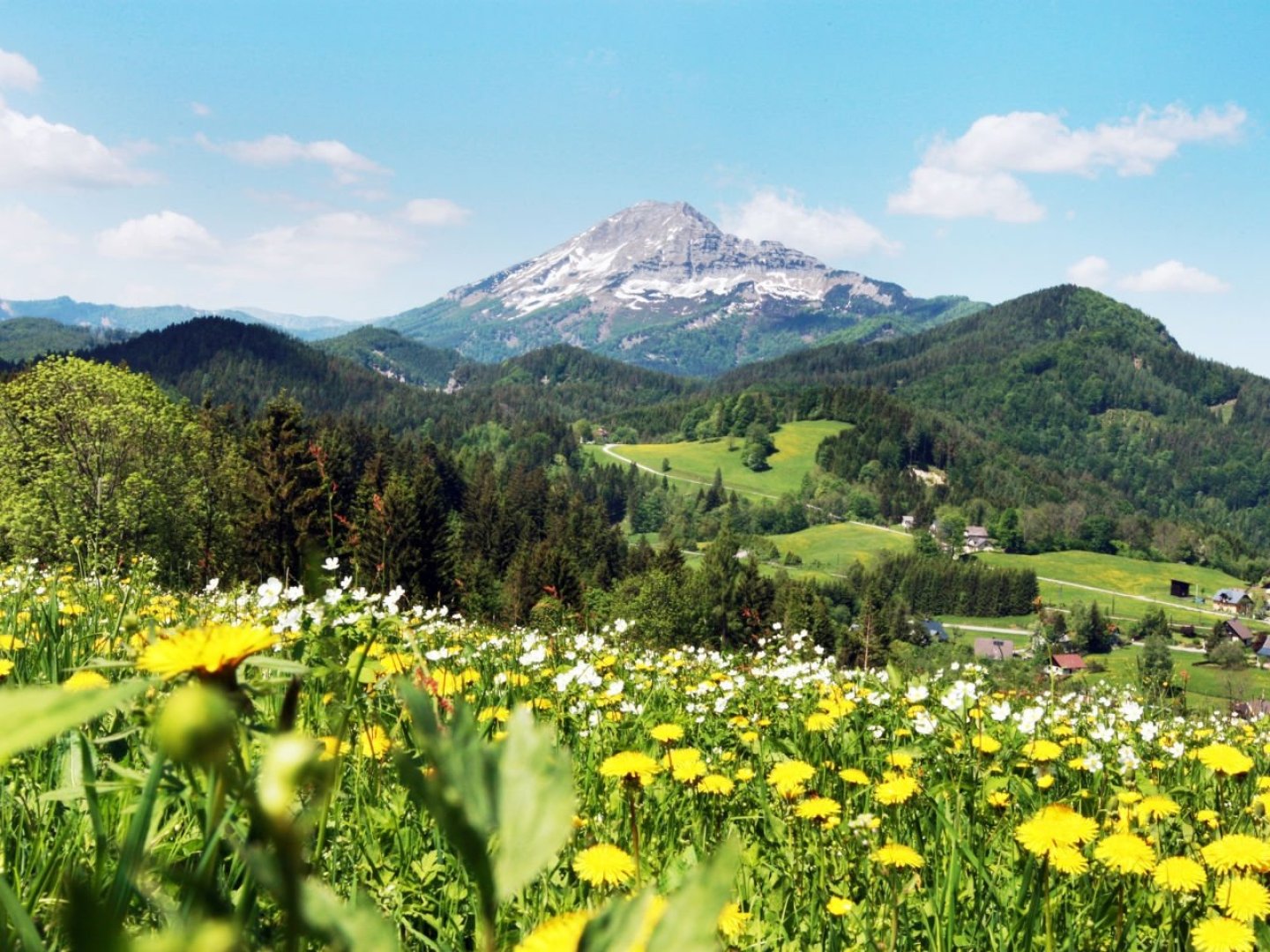 Rückzug in die Berge – Ruhe, Natur & Erholung I 6 Nächte Mariazellerland