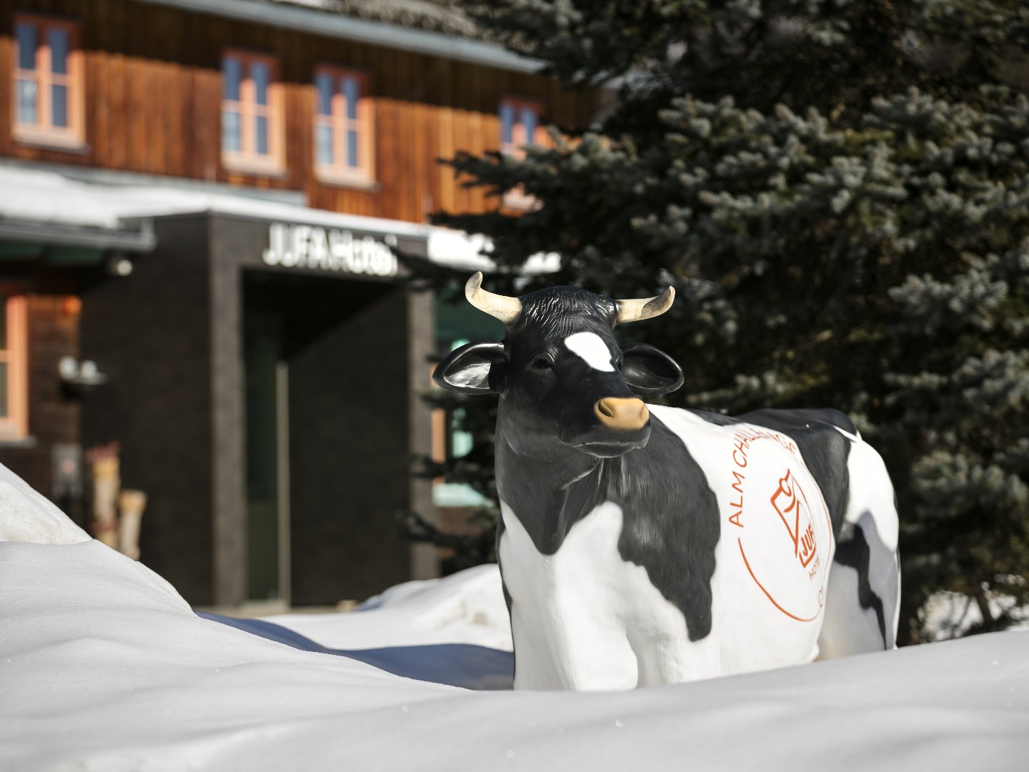 Natur pur & Gipfelerlebnisse: Dein Bergurlaub in den Eisenerzer Alpen I 3 Nächte