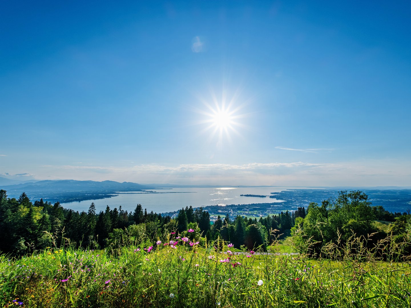 3 Tage Auszeit zwischen Schwarzwald und Bodensee