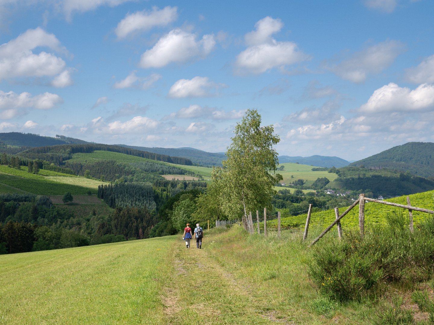 Mitten inne Woche | 3 Tage in Winterberg im Sauerland