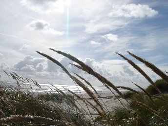 Maritime Winter-Auszeit- 3 Tage auf Langeoog