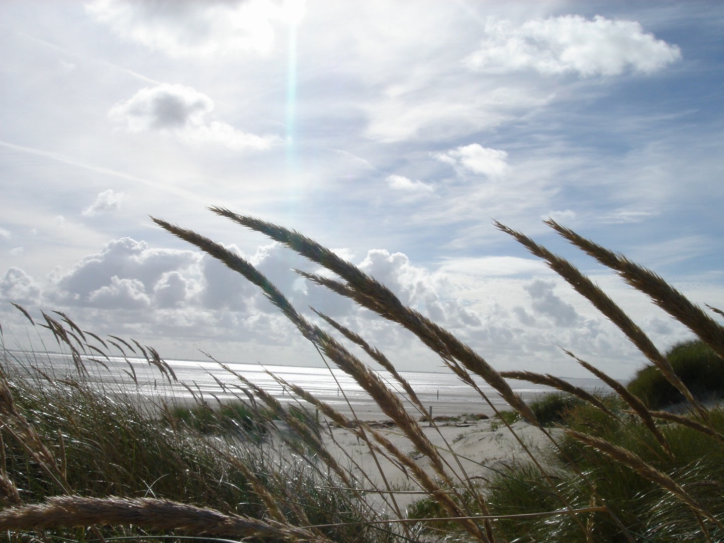 Maritime Winter-Auszeit- 3 Tage auf Langeoog