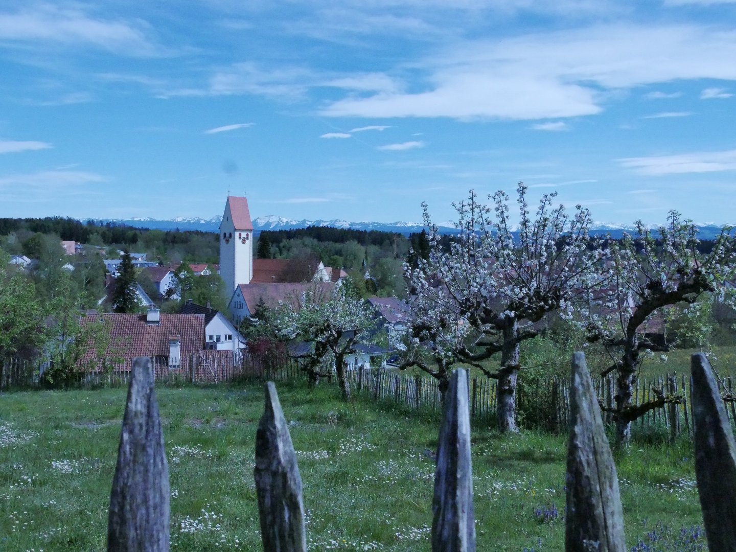 Workation im Allgäu & am Bodensee