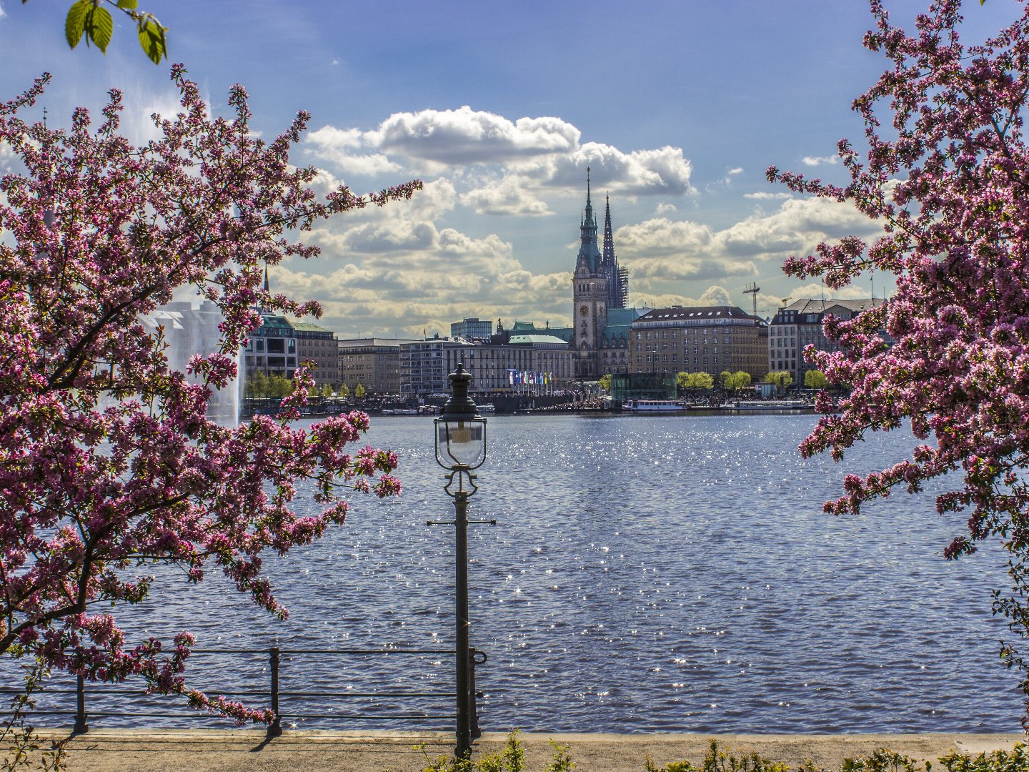 5 Entdeckertage im Alten Land bei Hamburg inkl. Halbpension  