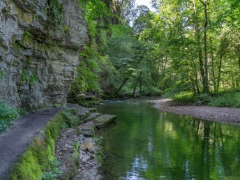 4 Tage Aktivurlaub in Bad Säckingen – Natur erleben mit Halbpension & Leihfahrrad