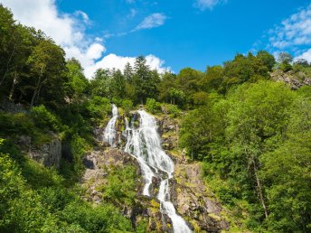 4 Tage Aktivurlaub in Bad Säckingen – Natur erleben mit Halbpension & Leihfahrrad