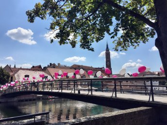 2 Tage Kuschelfieber in Landshut